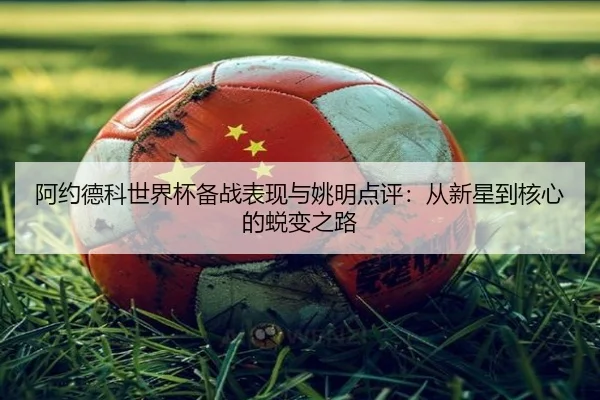 阿约德科世界杯备战表现与姚明点评：从新星到核心的蜕变之路